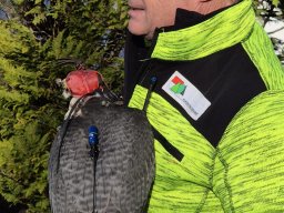 WhatsApp Image 2026-01-12 at 15.54.08 8